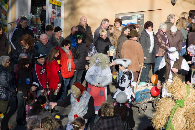 Fasching 2011 - Bild 69