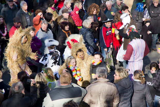 Fasching 2011 - Bild 71