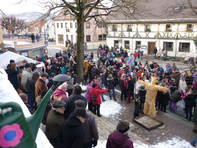 Fasching 2013 - Bild 53