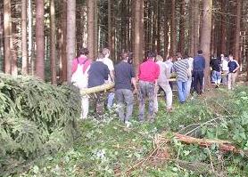 Der Baum wird aus dem Wald getragen